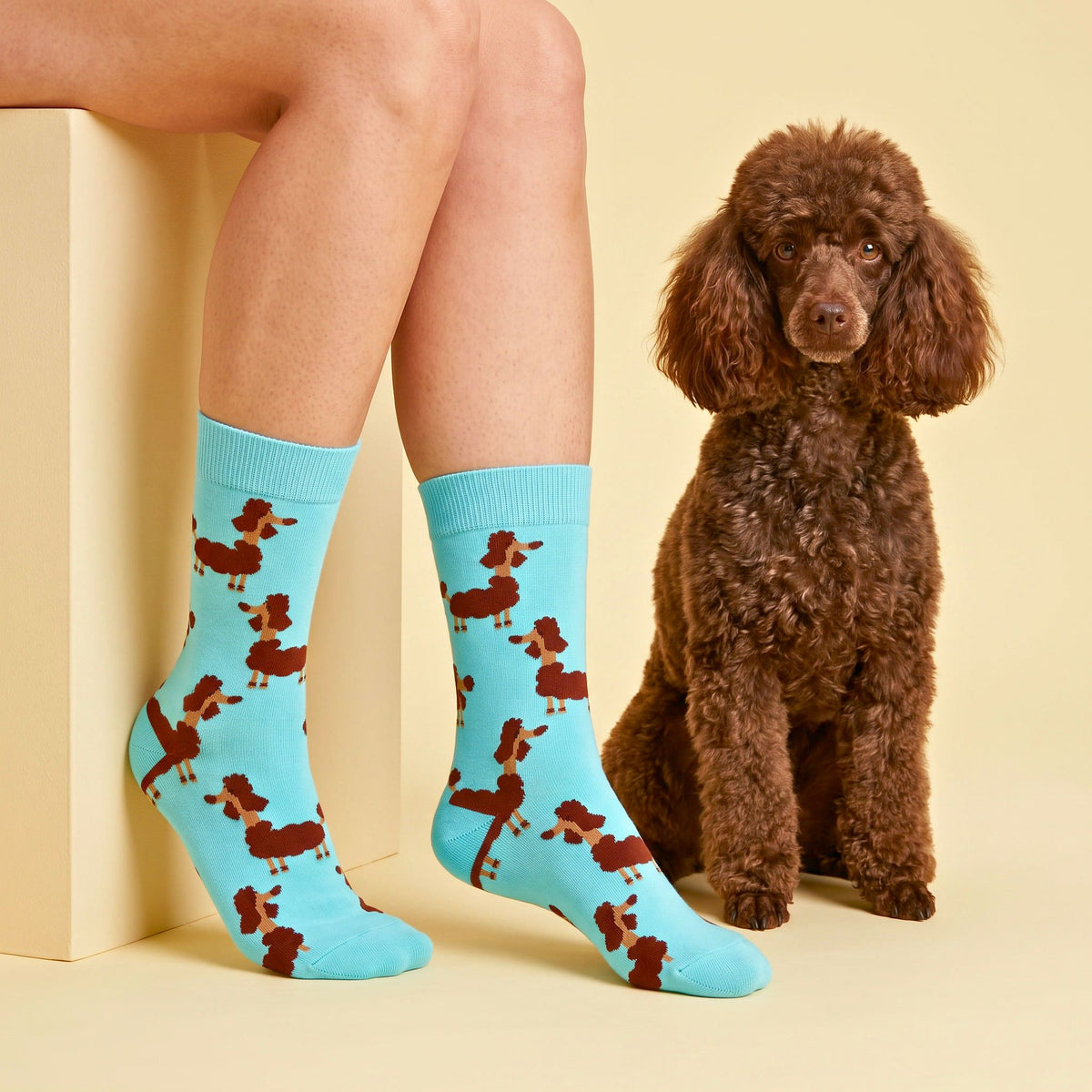 POODLE PARTY