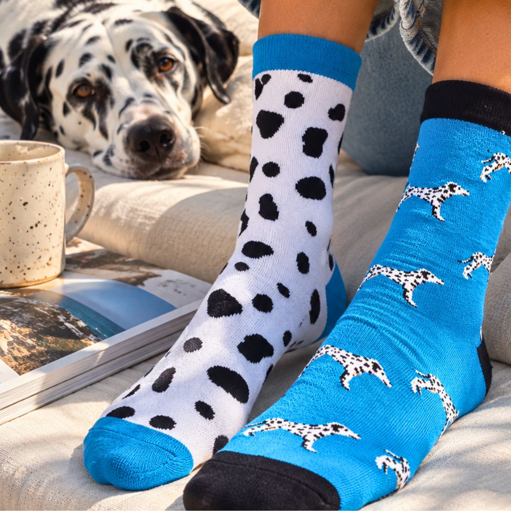 Good Mutt Club dog socks