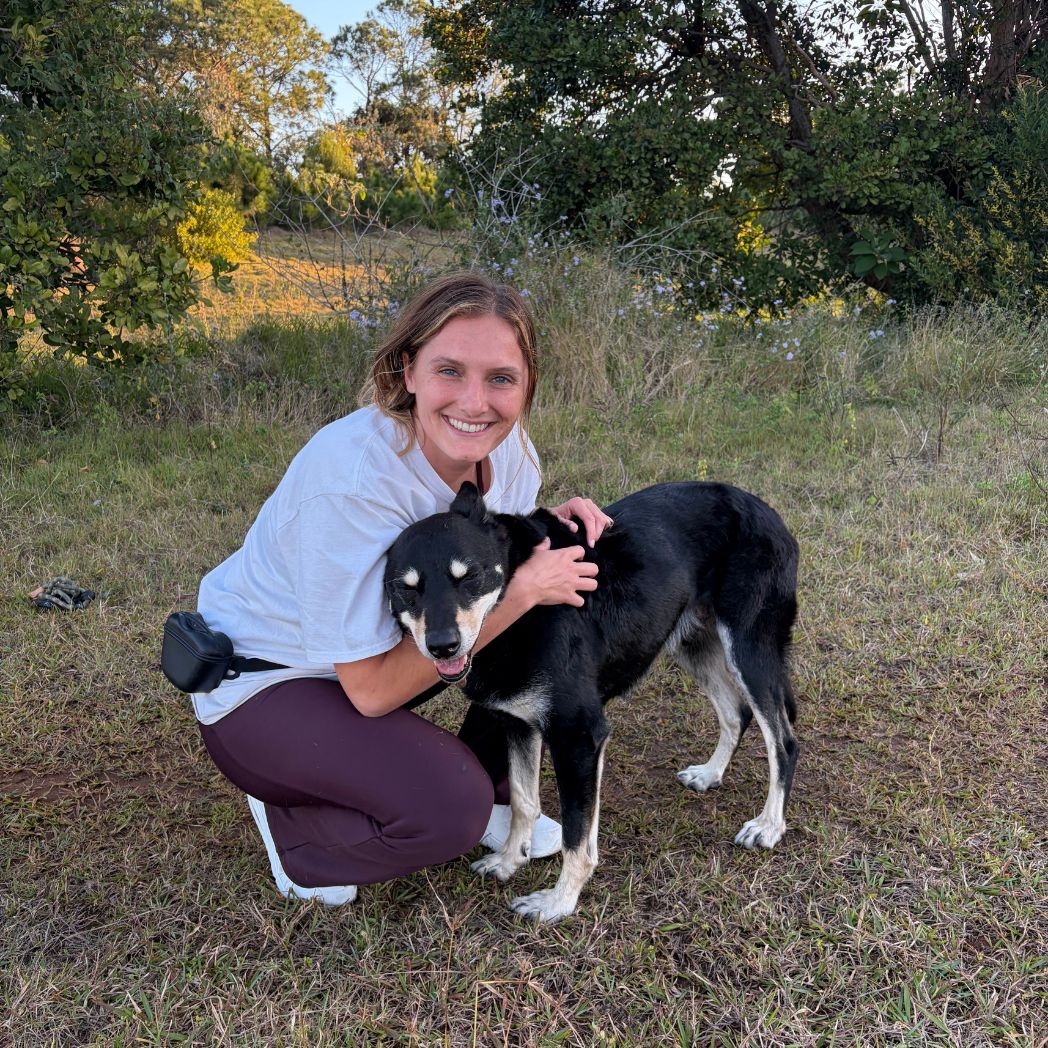 Volunteering with rescue dogs